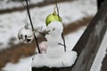 Childrens work -A little snowman with Christmas balls besides a Hiking trail