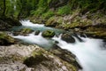 Radovna river in Vintgar gorge or Bled gorge, Slovenia