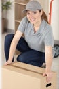 lovel deliverywoman holding parcel Royalty Free Stock Photo