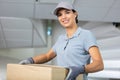 lovely upbeat deliverywoman holding parcel Royalty Free Stock Photo