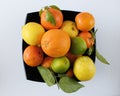 Citrus composition in a black bowl on a white background