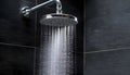 Nice metallic chrome shower