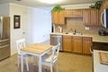 Nice modern kitchen in the house