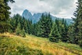 Nice morning scene of Compaccio village with huge rainbow on background, Seiser Alm or Alpe di Siusi location, Bolzano province, S Royalty Free Stock Photo