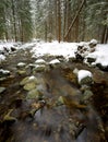 Nice mountain river in winter forest