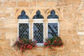 Mullioned window in french aquitaine
