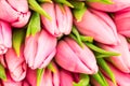 Nice natural bouquet from pink tulips as a romantic background. Selective focus. Pink tulips close up. Pink tulips spring flowers.