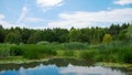 Nature in the middle of the city of Montreal, Canada