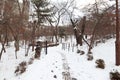 nice nature photography winter in kyung hee Park Seoul south korea