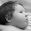 Nice newborn baby boy closeup portrait. Lying in white bed. Cute Newborn 1 month old on white sheet in diaper Royalty Free Stock Photo