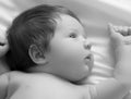 Nice newborn baby boy closeup portrait. Lying in white bed. Cute Newborn 1 month old on white sheet in diaper Royalty Free Stock Photo