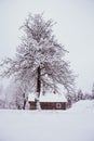 Nice old village house in the middle of beautiful winter with lots of white snow and trees. Royalty Free Stock Photo