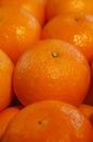 Nice oranges Royalty Free Stock Photo