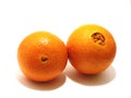 Nice oranges to savor