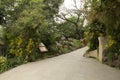 Nice orchid garden in Nanning Qingxiu mountain China Royalty Free Stock Photo