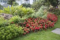 Outdoor flower bed design in the park of city