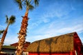 Nice palm trees and top of house in the blue sunny sky with white clouds Royalty Free Stock Photo