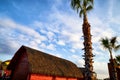 Nice palm trees and top of house in the blue sunny sky with white clouds Royalty Free Stock Photo