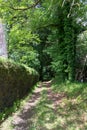 Nice path through the forest with trees and a stone wall. Galician landscape inside the Pazo de MariÃÂ±ÃÂ¡n