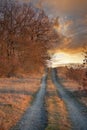 Nice pathway in a sunset light Royalty Free Stock Photo
