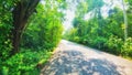 Bequtiful road in forest bangla Royalty Free Stock Photo