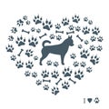 Nice picture of chihuahua silhouette on a background of dog track in the form of heart.