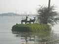 Nice picture Kolkata ECO park, West bengal