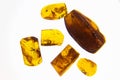 nice pieces of amber with included insekts