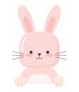 nice pink bunny