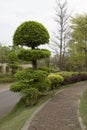 Nice plants and alley arranged in the park Royalty Free Stock Photo