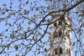 Nice platanos branch with belfry on the background Royalty Free Stock Photo