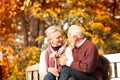 Nice positive elderly couple siting on bench with walking stick