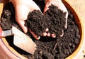 Nice potting soil Royalty Free Stock Photo