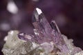 Lustrous Amethyst Crystals from Bolivia