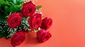 Nice red roses bouquet on the deep pink background closeup, banner. Greeting card design for Womens day, Mother`s day or Valentin Royalty Free Stock Photo