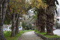 A nice road in the city center