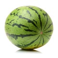 Nice round watermelon