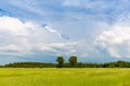 Nice rural summer landscape