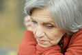 Nice sad old woman Royalty Free Stock Photo