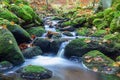 Nice small forest brook, stream with colorful autumn leaves, long exposure, Czech landscape