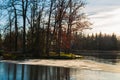 Nice small tree island in pond with ice shined from sun. Winter, early spring Czech landscape Royalty Free Stock Photo