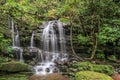 Nice small waterfall in forest Royalty Free Stock Photo