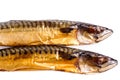 Nice smoked mackerel