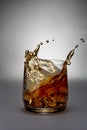 Nice splash in glass with whisky Royalty Free Stock Photo