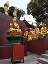 nice statue inTen Thousand Buddhas Monastery hongkong sha tin