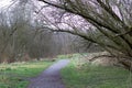 Nature Wallpaper Nice Stone Path Walk Way In A Park