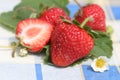Nice strawberry Royalty Free Stock Photo