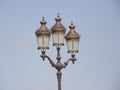 Elegant street lamps in special color