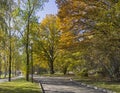 Nice sunny autumn day in the park