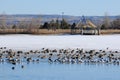 Frozen Lake in a Winter Park Royalty Free Stock Photo